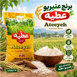 برنج عنبربو ممتاز عطیه