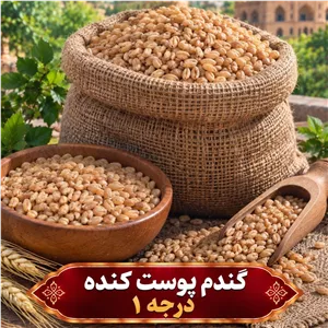 گندم پوست کنده درجه 1