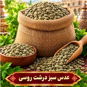 عدس سبز درشت روسی