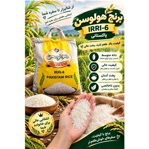 برنج پاکستانی هولوسن