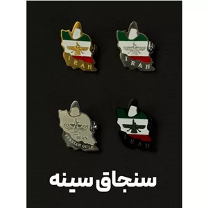 سنجاق سینه (گل سینه) طرح نقشه ایران و نماد فروهر اکسسوری نمادین با کیفیت استیل 316