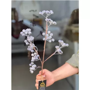 شاخه میوه بلوبری وارداتی