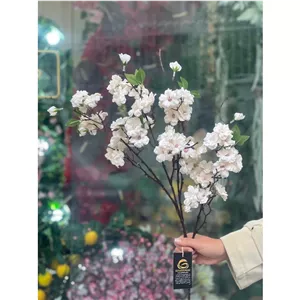 شاخه شکوفه افریقایی وارداتی گلبهی
