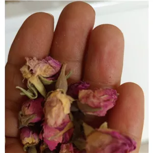 گل محمدی درجه یک