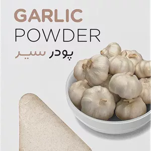 پودر سیر 120 گرم