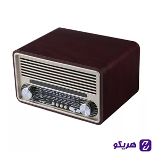 رادیو اسپیکر بلوتوثی ان ان اس NS-6680BT