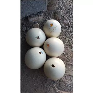 پوکه تخم شترمرغ عمده ای