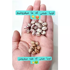 لوبیا چیتی دستچین ایرانی خوش پخت