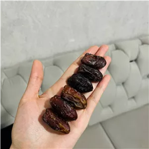 خرمای پیارم (شاوی)