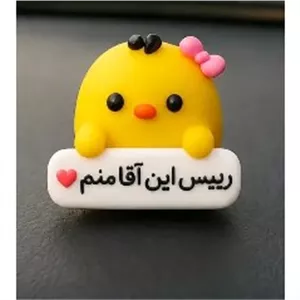 روداشبوردی جوجک5