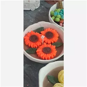 شات شمع کاکتوس و گل