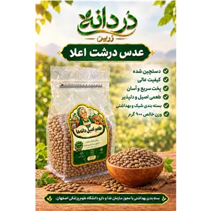 عدس درشت اعلاء کانادایی دستچین شده