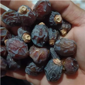 خرمای خاصویی