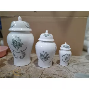 جینجرجارسه تیکه