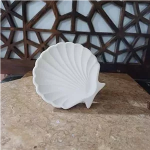 بیس خام شات صدف 