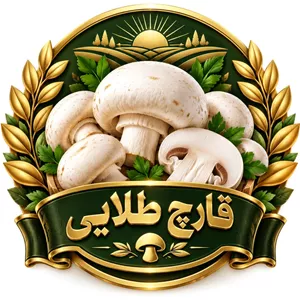 قارچ طلایی درجه یک اهواز 