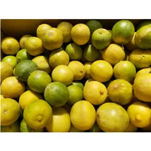 لیمو درجه یک درشت