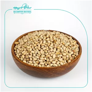 سویا آجیلی لیمویی