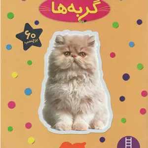 گربه ها (بچسبان و بیاموز)