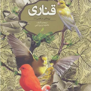 قناری (پرندگان در قفس 1)
