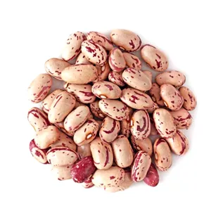 لوبیا چیتی خمین