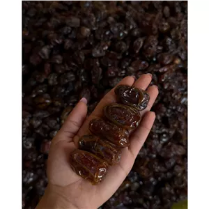 خرما کبکاب درجه یک صادراتی اهرم