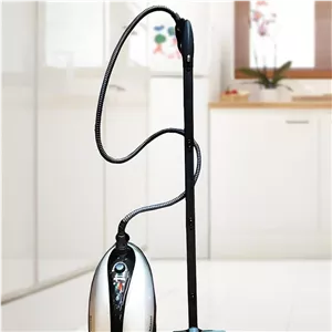 بخار شوی دلمونتی مدل dl 200