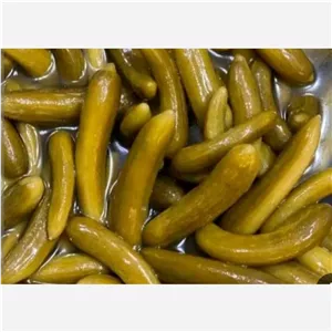 خیار شور درجه یک