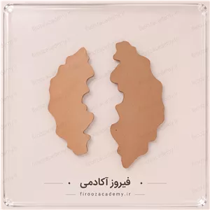 بیس چوبی - دفرمه ساعت 24 سانت