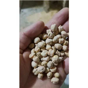 نخود بهاره کرمانشاه سایز درشت کشت امسال تازه مخصوص اب گوشت و نخود چی و لپه ....