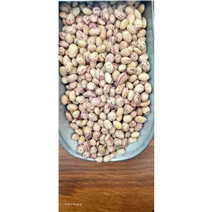 لوبیا چیتی ایرانی درجه پاک شده