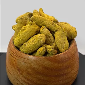 زردچوبه قلم هندی طلایی 