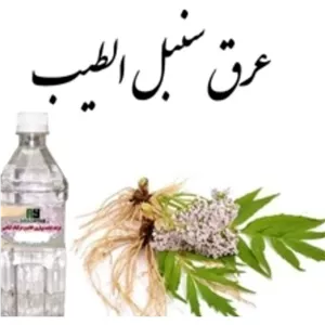 عرق سنبل الطیب