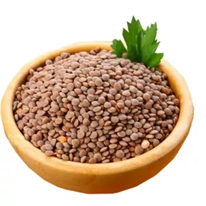 عدس ریز ارگانیک