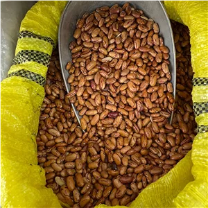 لوبیا چیتی شمالی درجه یک