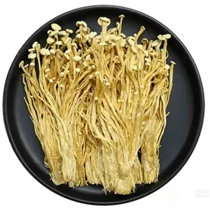 قارچ چینی انوکی خشک