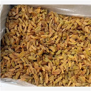 کشمش سبز درجه 2 خراسان 1 کیلو قیمت عمده