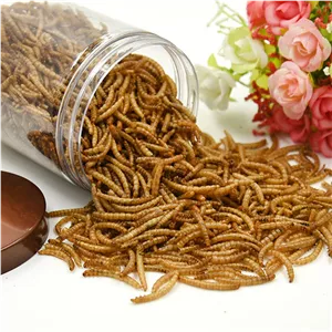 غذا کرم خشک برای پرنده 40 گرمی