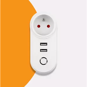 پریز هوشمند دوشاخهدار زیگبی با دو خروجی USB