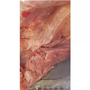 سینه بوقلمون بسته 5کیلویی عمده 