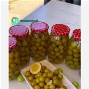 ترشی آلوچه جنگلی(گوجه سبز) ارگانیک
