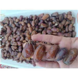 خرما آجیلی سمبرون با کیفیت دشتستان پس کرایه 