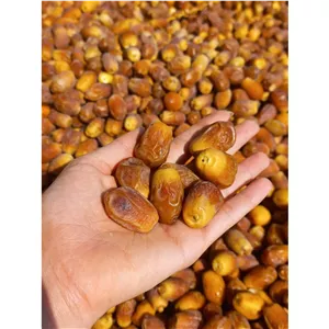 خرمای زاهدی سوپر لوکس دشت طلحه کارتن 10 کیلویی 