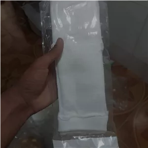 ساق پا