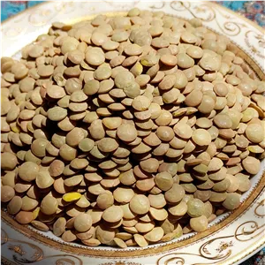 عدس درشت یک کیلو گرمی