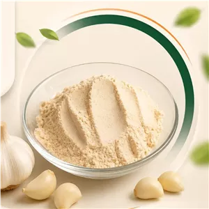 پودر سیر اعلا تازه قیمت مناسب 