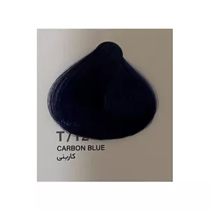 رنگ مو انزو شماره T12 حجم 200 میلیلیتر رنگ کاربنی
