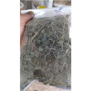 برگ گزنه باکیفیت 50 گرمی