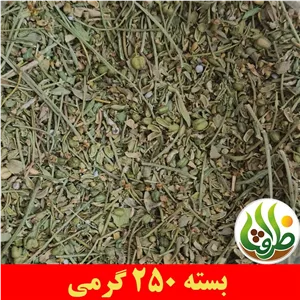 سداب ( سوداب ) درجه یک ظرافت 250 گرمی