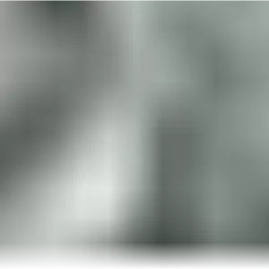 جامدادی نمدی